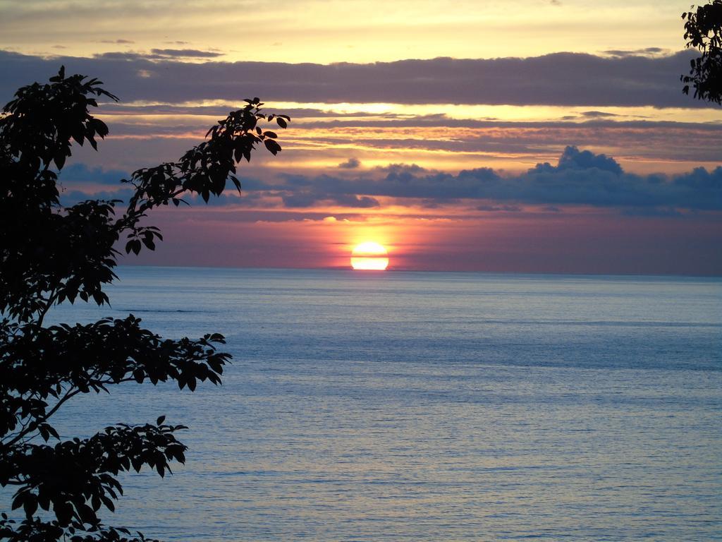 La Uvita Perdida Luaran gambar